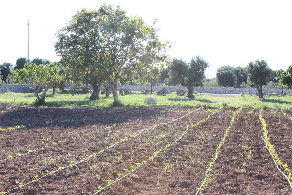 Masseria Valente *